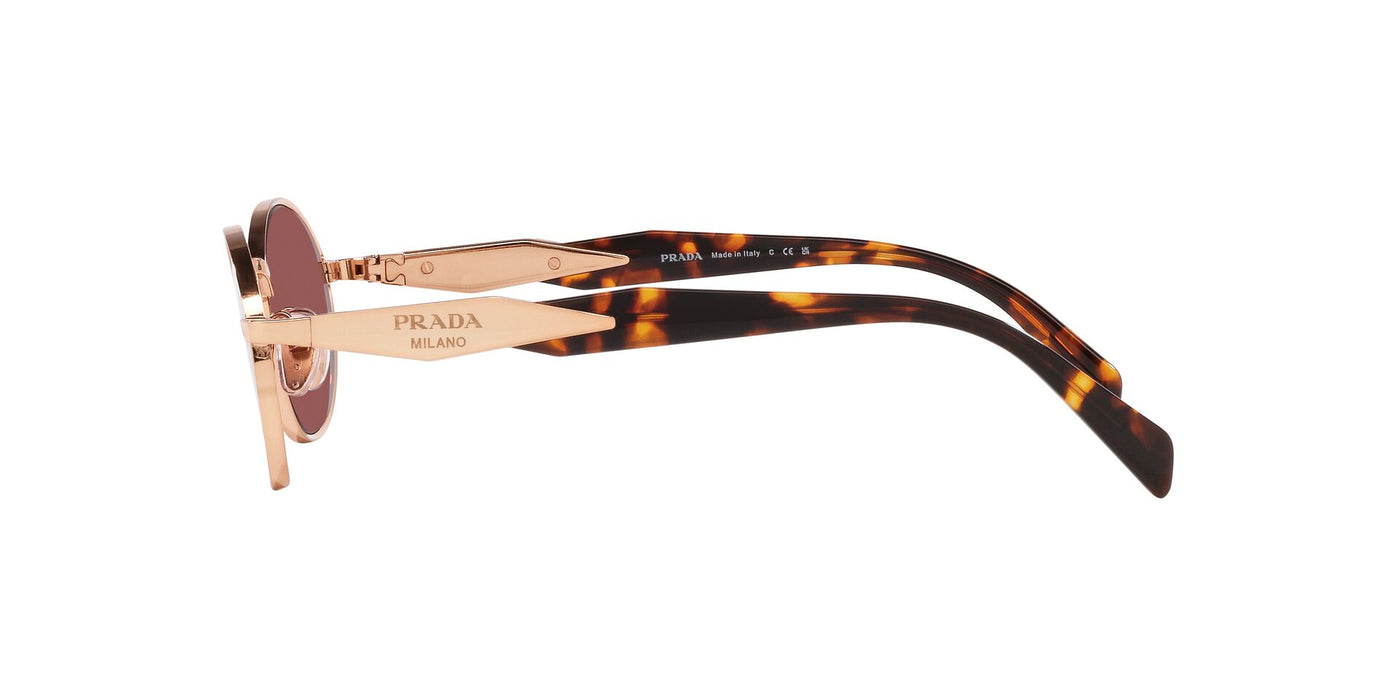 Prada SPR65Z Pink Gold/Dark Violet #colour_pink-gold-dark-violet