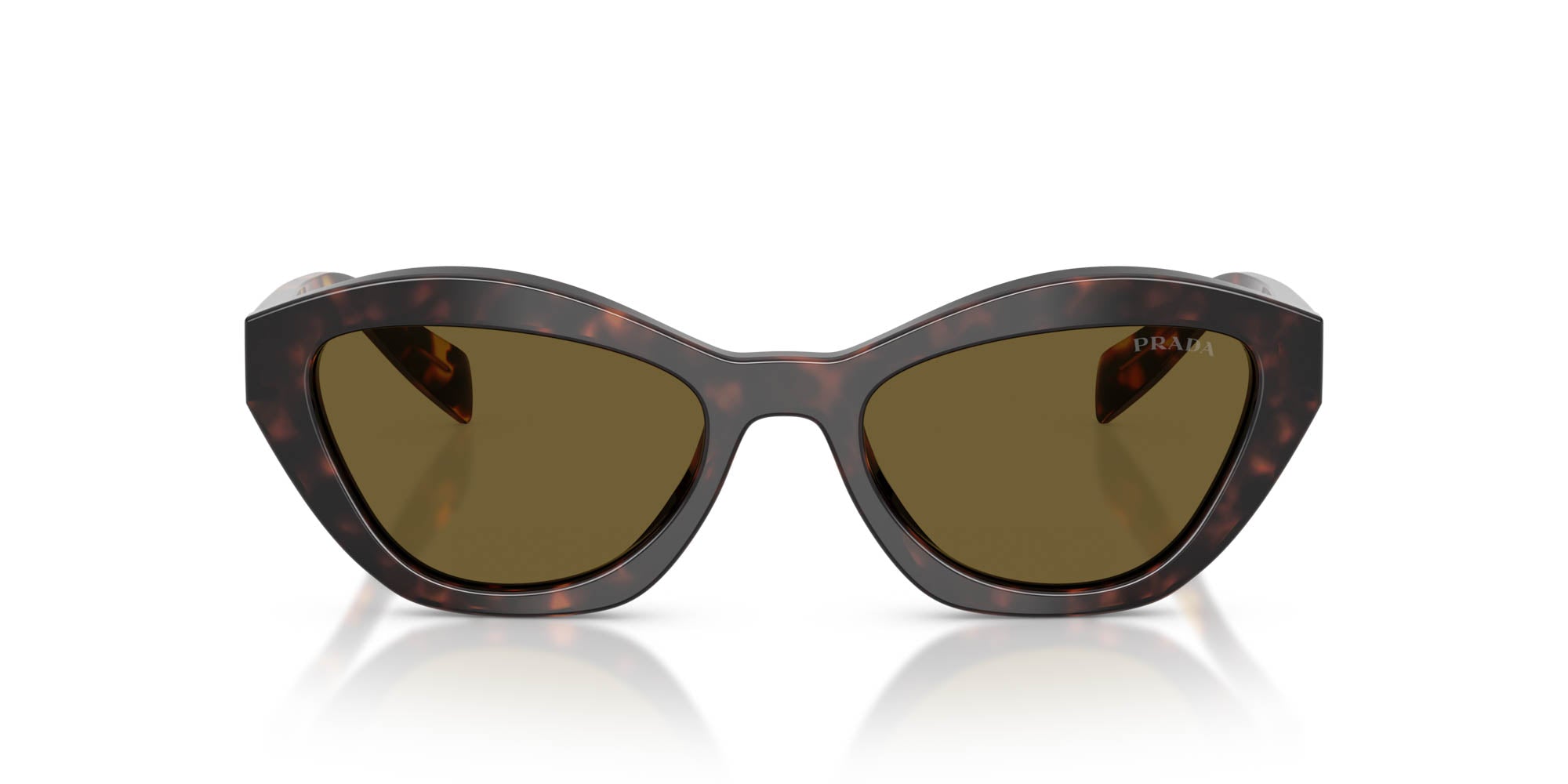 Prada SPR A02 Butterfly Sunglasses | Fashion Eyewear US