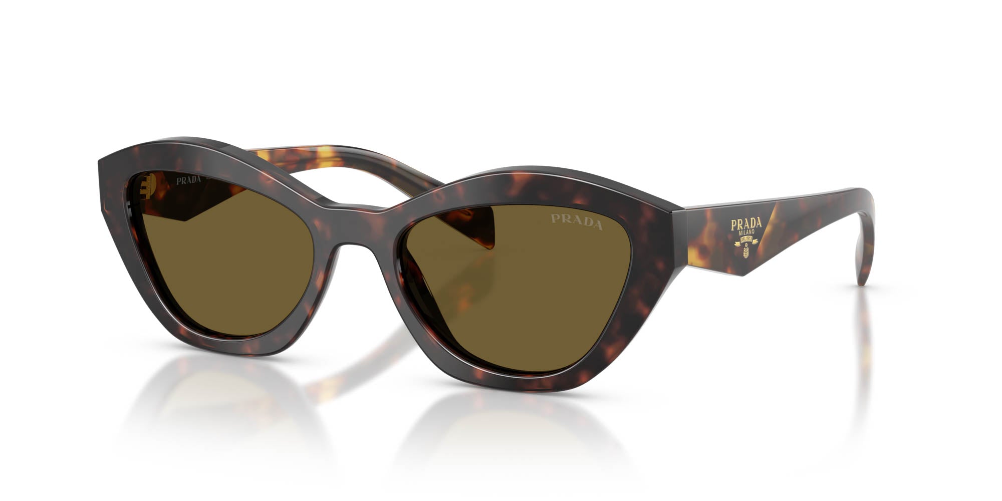 Prada SPR A02 Butterfly Sunglasses | Fashion Eyewear US