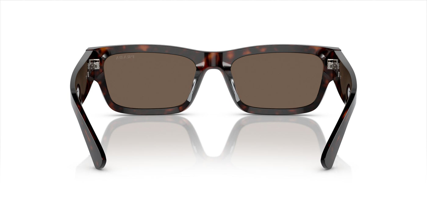 Prada SPR A03 Havana/Brown #colour_havana-brown