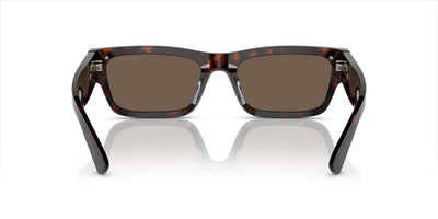 Prada SPR A03 Havana/Brown #colour_havana-brown