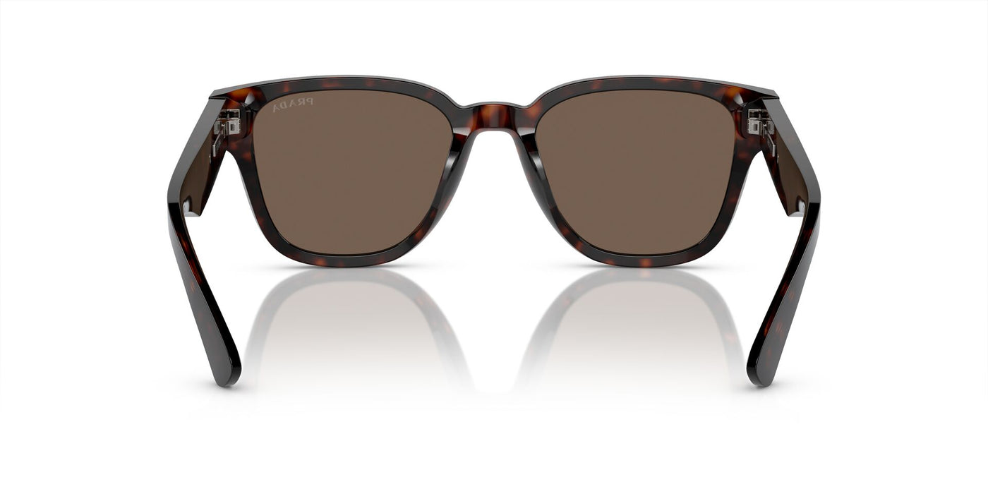 Prada SPR A04 Havana/Brown #colour_havana-brown