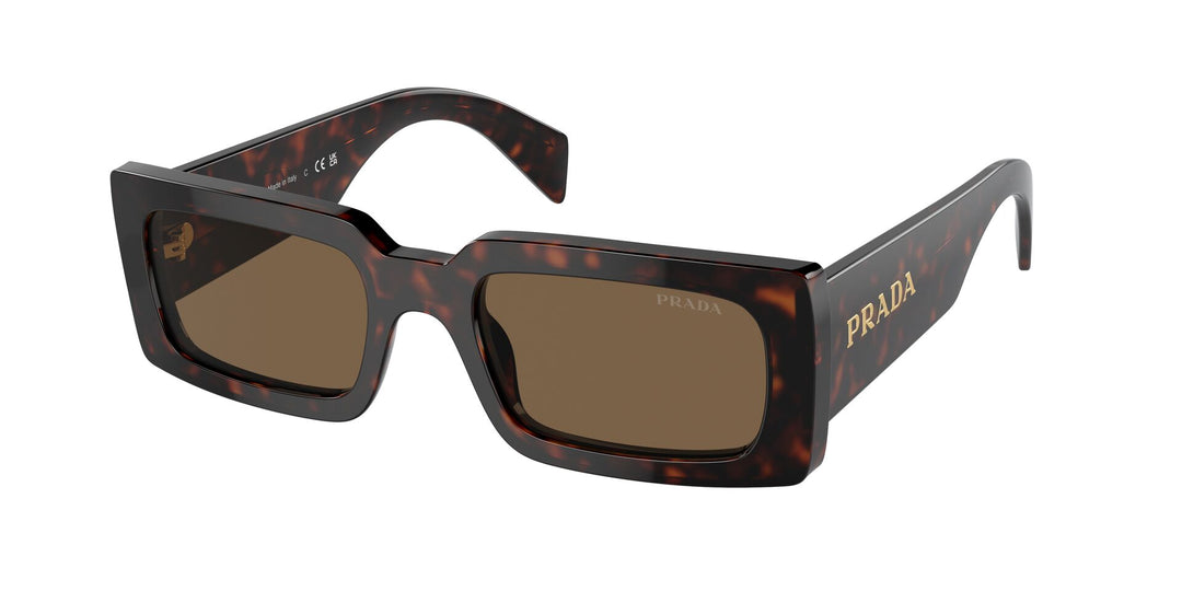 PRADA ミラノ トータスシェル サングラス Prada Tortoise Shell Oversized Round Sunglasses – LFC Ltd