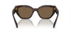 Prada SPR A09 Briar Tortoise/Dark Brown #colour_briar-tortoise-dark-brown