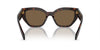 Prada SPR A09 Briar Tortoise/Dark Brown #colour_briar-tortoise-dark-brown