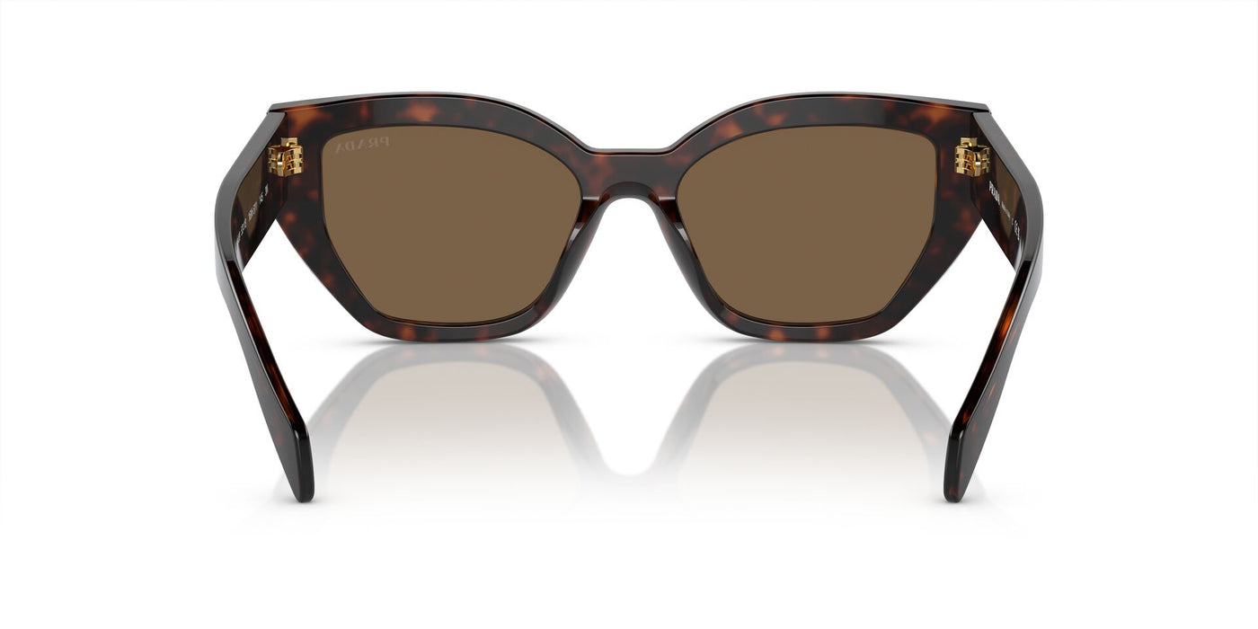 Prada SPR A09 Briar Tortoise/Dark Brown #colour_briar-tortoise-dark-brown