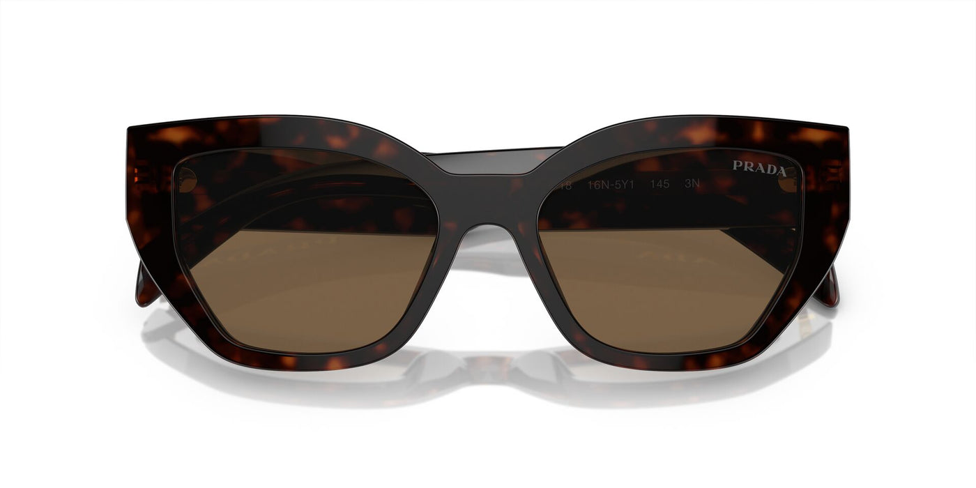 Prada SPR A09 Briar Tortoise/Dark Brown #colour_briar-tortoise-dark-brown