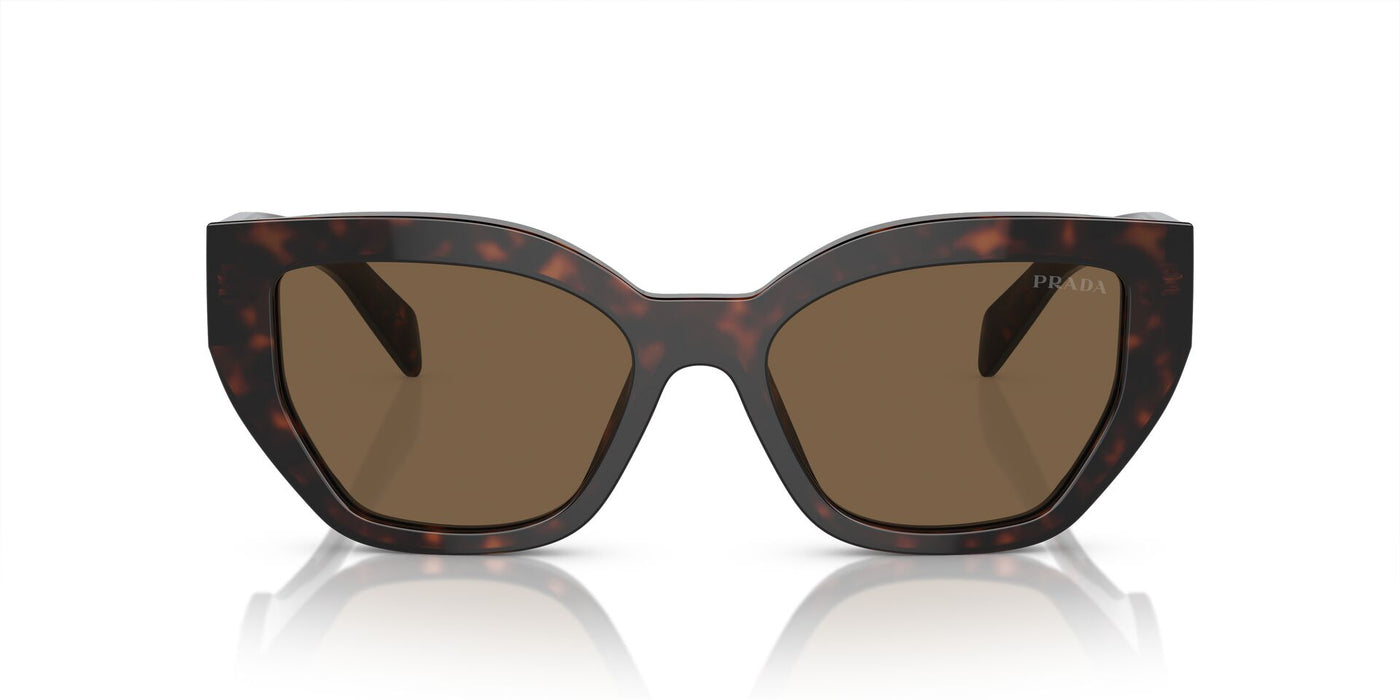 Prada SPR A09 Briar Tortoise/Dark Brown #colour_briar-tortoise-dark-brown