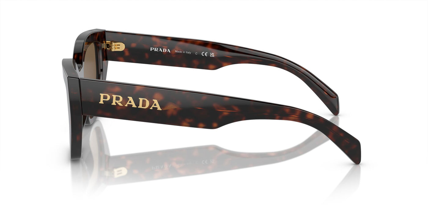 Prada SPR A09 Briar Tortoise/Dark Brown #colour_briar-tortoise-dark-brown