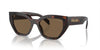 Prada SPR A09 Briar Tortoise/Dark Brown #colour_briar-tortoise-dark-brown