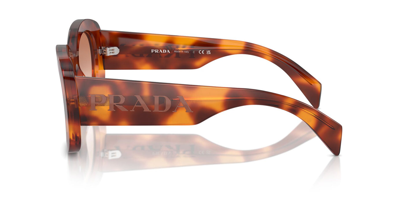 Prada SPR A13 Cognac Tortoise/Cognac #colour_cognac-tortoise-cognac