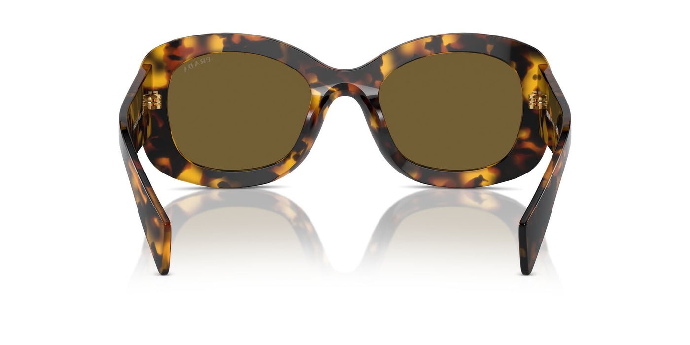 Prada SPR A13 Honey Tortoise/Dark Brown #colour_honey-tortoise-dark-brown