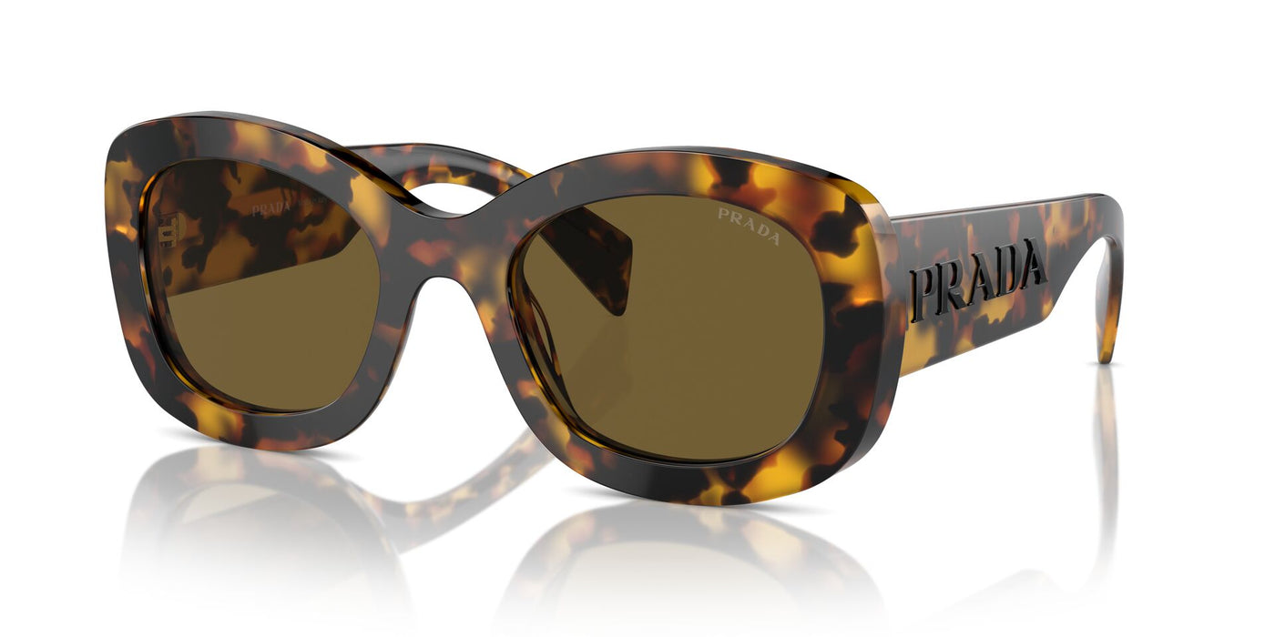 Prada SPR A13 Honey Tortoise/Dark Brown #colour_honey-tortoise-dark-brown