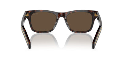 Prada SPR A17 Radica Tortoise/Dark Brown #colour_radica-tortoise-dark-brown