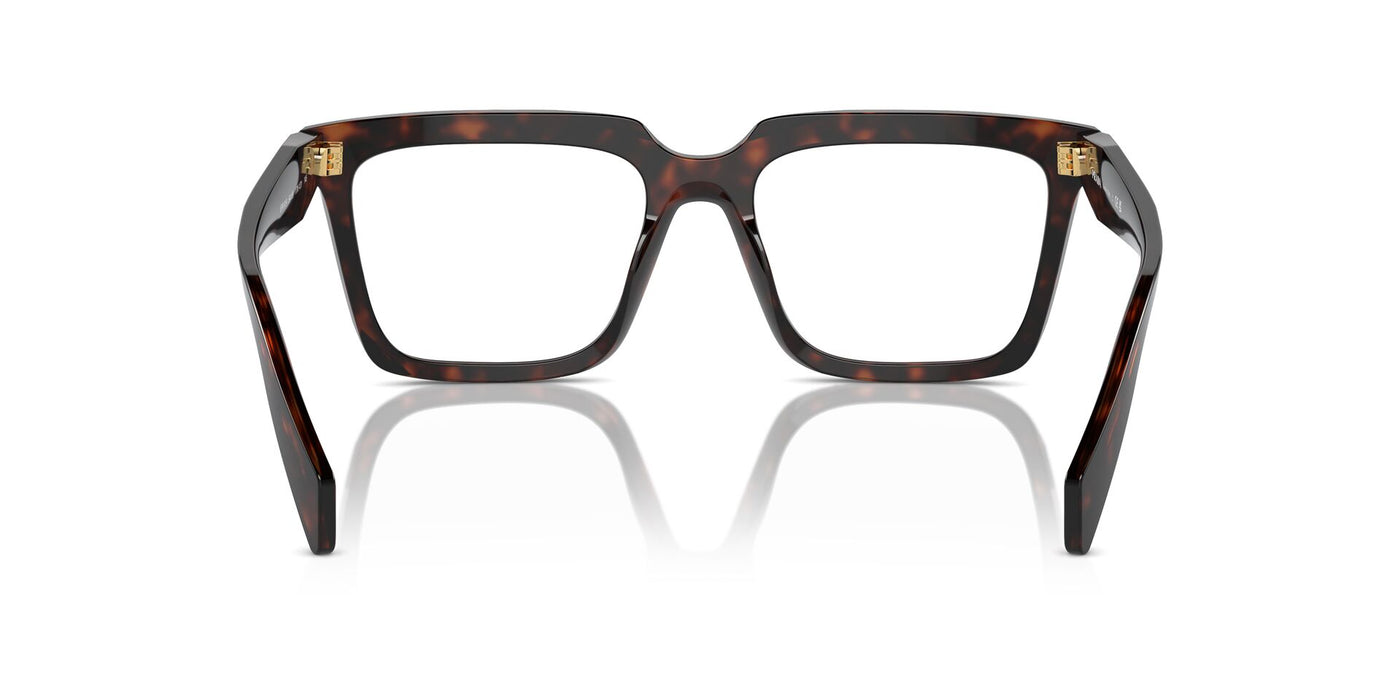 Prada VPR A19 Root Tortoise #colour_root-tortoise