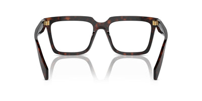 Prada VPR A19 Root Tortoise #colour_root-tortoise
