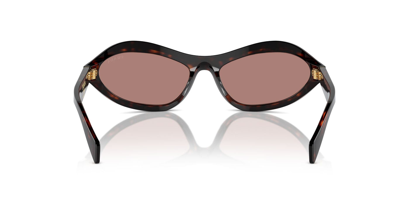 Prada SPR A20 Root Tortoise/Light Brown #colour_root-tortoise-light-brown