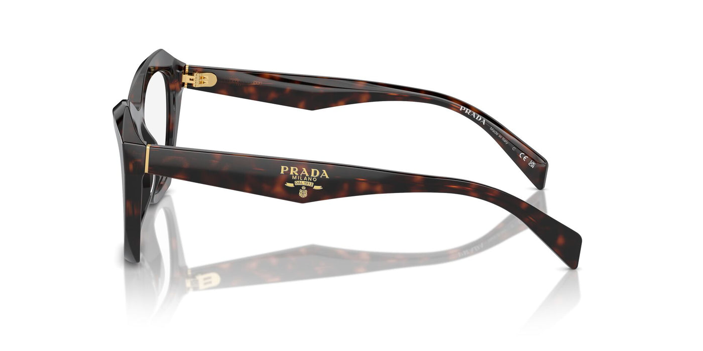 Prada VPR A20 Root Tortoise #colour_root-tortoise