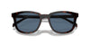 Prada SPR A21 Radica Tortoise/Dark Blue #colour_radica-tortoise-dark-blue