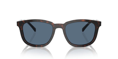 Prada SPR A21 Radica Tortoise/Dark Blue #colour_radica-tortoise-dark-blue