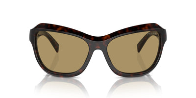 Prada SPR A27 Radica Tortoise/Green Olive #colour_radica-tortoise-green-olive