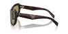 Prada SPR A27 Radica Tortoise/Green Olive #colour_radica-tortoise-green-olive