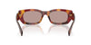 Prada SPR B05 Poppy Tortoise/Light Purple Brown #colour_poppy-tortoise-light-purple-brown