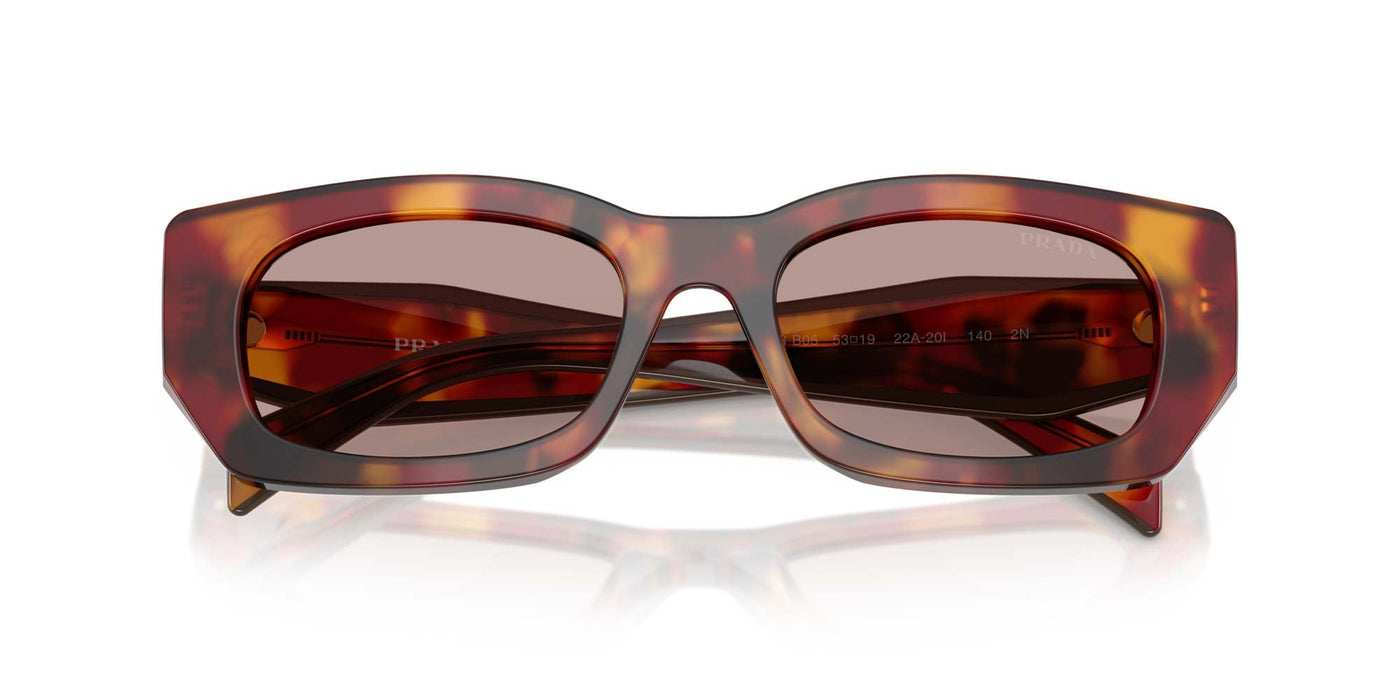Prada SPR B05 Poppy Tortoise/Light Purple Brown #colour_poppy-tortoise-light-purple-brown
