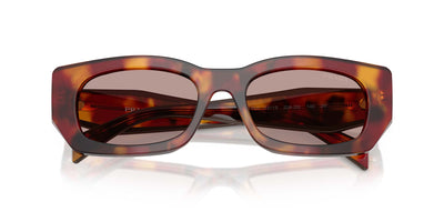 Prada SPR B05 Poppy Tortoise/Light Purple Brown #colour_poppy-tortoise-light-purple-brown