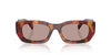 Prada SPR B05 Poppy Tortoise/Light Purple Brown #colour_poppy-tortoise-light-purple-brown