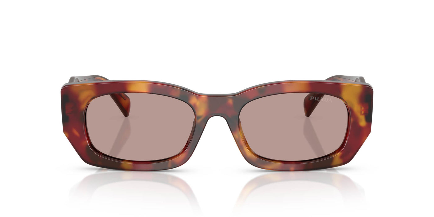 Prada SPR B05 Poppy Tortoise/Light Purple Brown #colour_poppy-tortoise-light-purple-brown