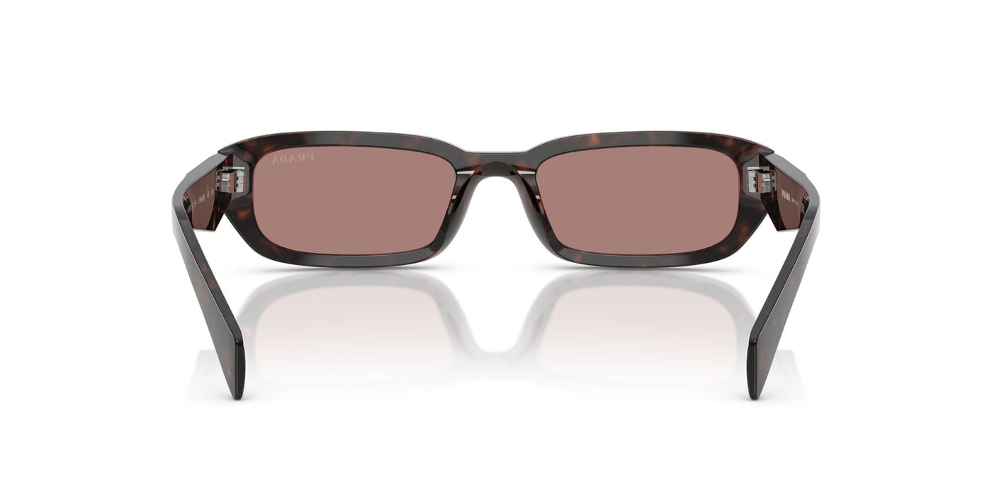 Prada SPR B06 Root Tortoise/Light Brown #colour_root-tortoise-light-brown