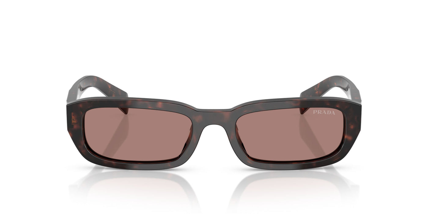Prada SPR B06 Root Tortoise/Light Brown #colour_root-tortoise-light-brown