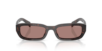 Prada SPR B06 Root Tortoise/Light Brown #colour_root-tortoise-light-brown