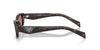 Prada SPR B06 Root Tortoise/Light Brown #colour_root-tortoise-light-brown
