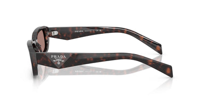 Prada SPR B06 Root Tortoise/Light Brown #colour_root-tortoise-light-brown
