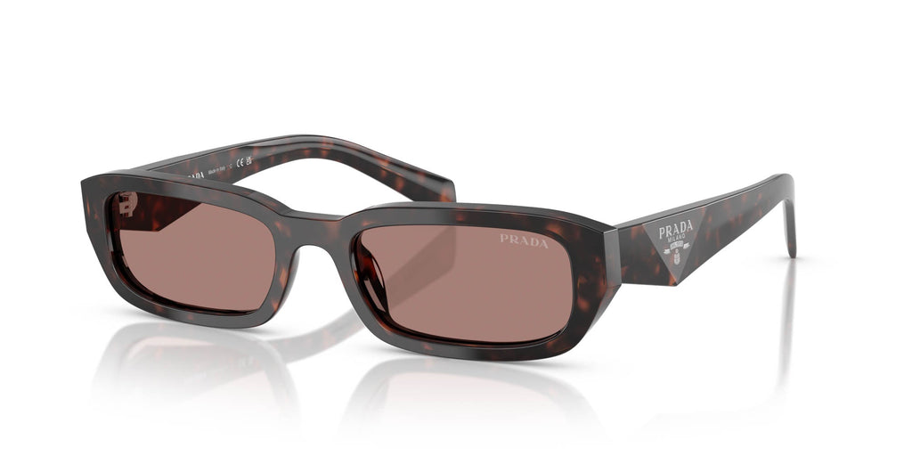 Prada SPR B06 Root Tortoise/Light Brown #colour_root-tortoise-light-brown
