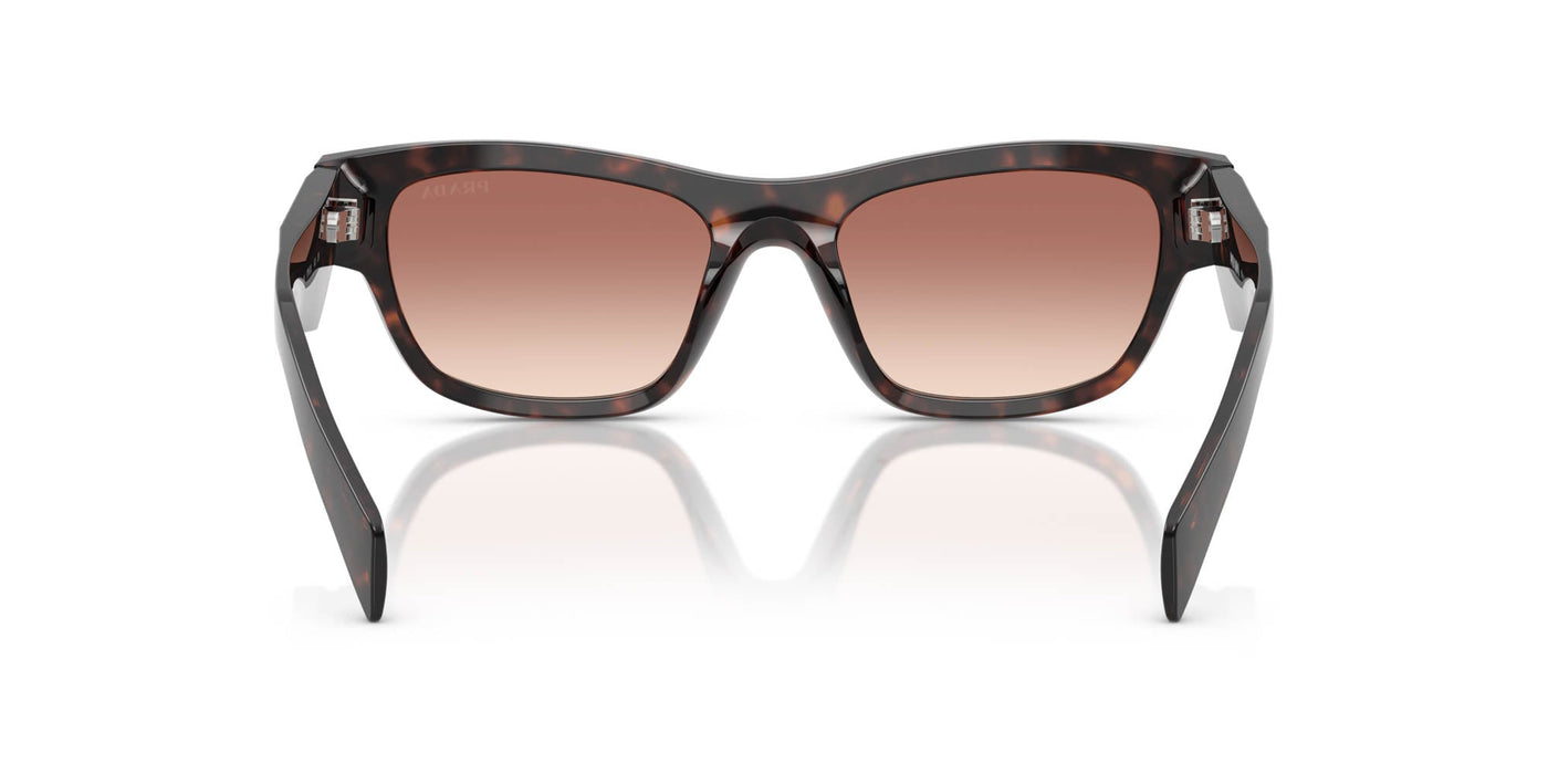 Prada SPR B09 Root Tortoise/Light Brown Bordeaux Gradient #colour_root-tortoise-light-brown-bordeaux-gradient