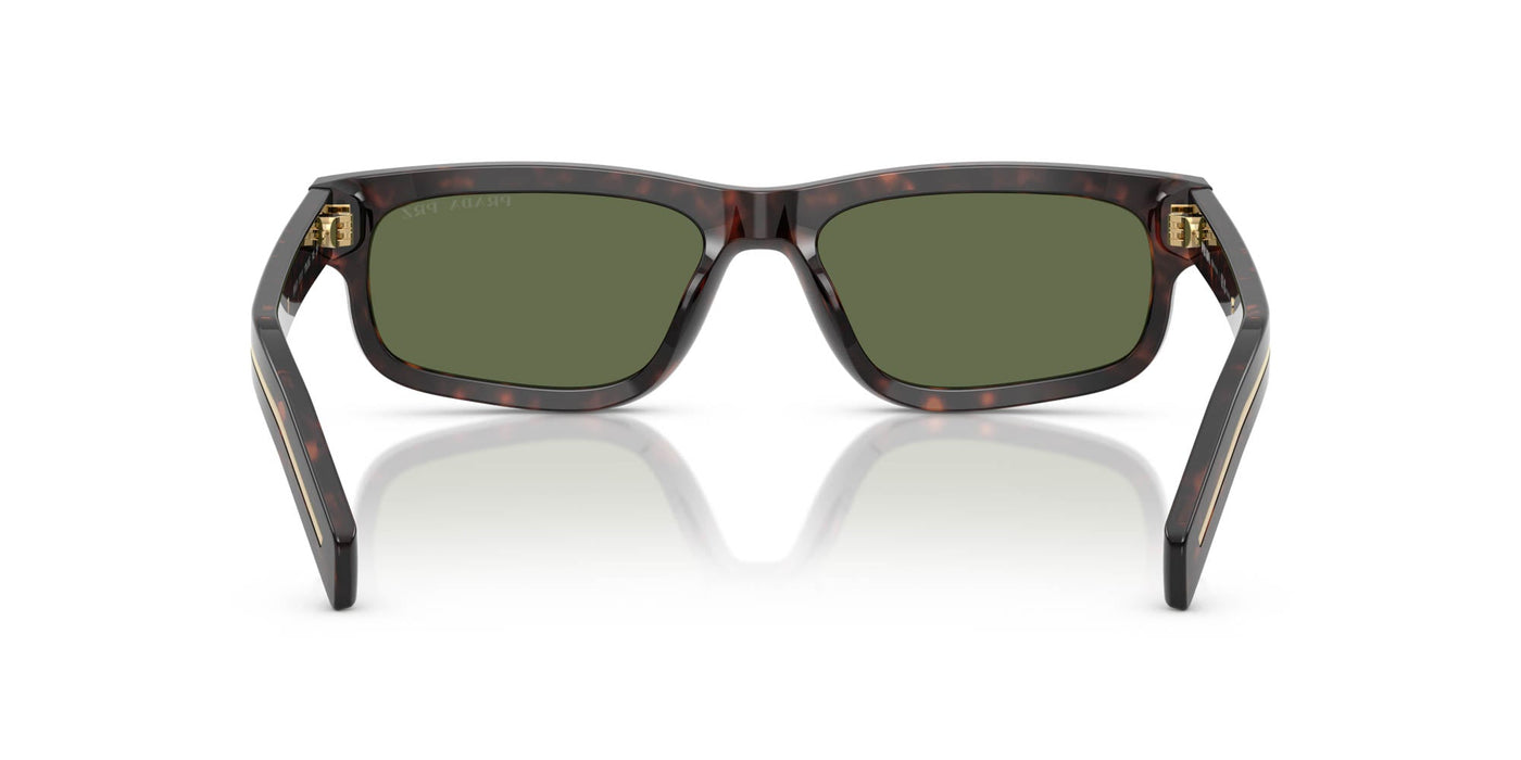 Prada SPR B11 Root Tortoise/Green Polarised #colour_root-tortoise-green-polarised