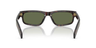 Prada SPR B11 Root Tortoise/Green Polarised #colour_root-tortoise-green-polarised