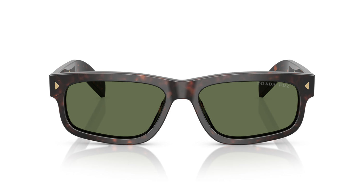 Prada SPR B11 Root Tortoise/Green Polarised #colour_root-tortoise-green-polarised