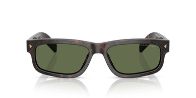 Prada SPR B11 Root Tortoise/Green Polarised #colour_root-tortoise-green-polarised