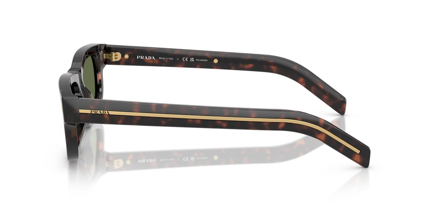 Prada SPR B11 Root Tortoise/Green Polarised #colour_root-tortoise-green-polarised