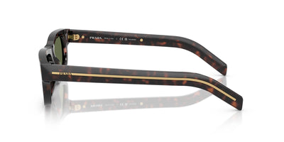 Prada SPR B11 Root Tortoise/Green Polarised #colour_root-tortoise-green-polarised