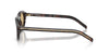 Prada SPR B15 Root Tortoise/Light Brown #colour_root-tortoise-light-brown