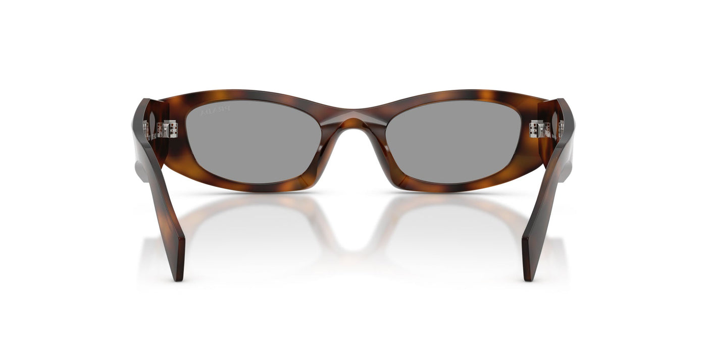 Prada SPR B16 Juniper Tortoise/Grey #colour_juniper-tortoise-grey