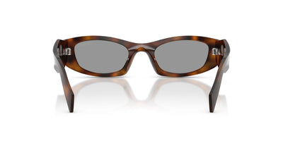 Prada SPR B16 Juniper Tortoise/Grey #colour_juniper-tortoise-grey