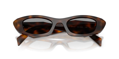 Prada SPR B16 Juniper Tortoise/Grey #colour_juniper-tortoise-grey