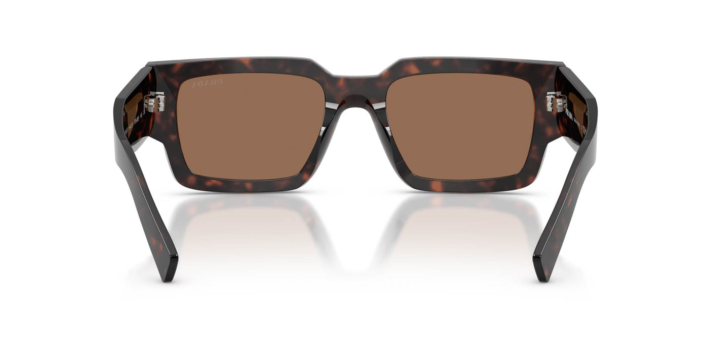 Prada SPR B17 Root Tortoise/Dark Brown #colour_root-tortoise-dark-brown