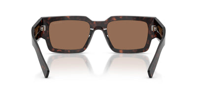 Prada SPR B17 Root Tortoise/Dark Brown #colour_root-tortoise-dark-brown